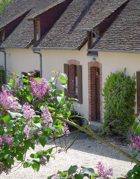 Gite Lavandes Sologne<br />
Domaine des Merciers